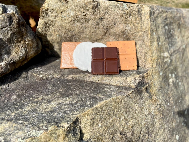 Smores Coasters handmade set of 4 Food coaster for gifts camping outdoor lovers gifts campfire fun outdoor decor image 3