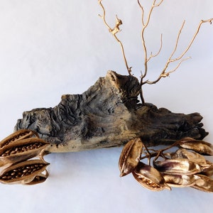 Medium Atlantic Driftwood Piece, Terrarium Aquarium Decor, Reptile Habitat