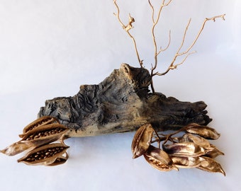 Medium Atlantic Driftwood Piece, Terrarium Aquarium Decor, Reptile Habitat