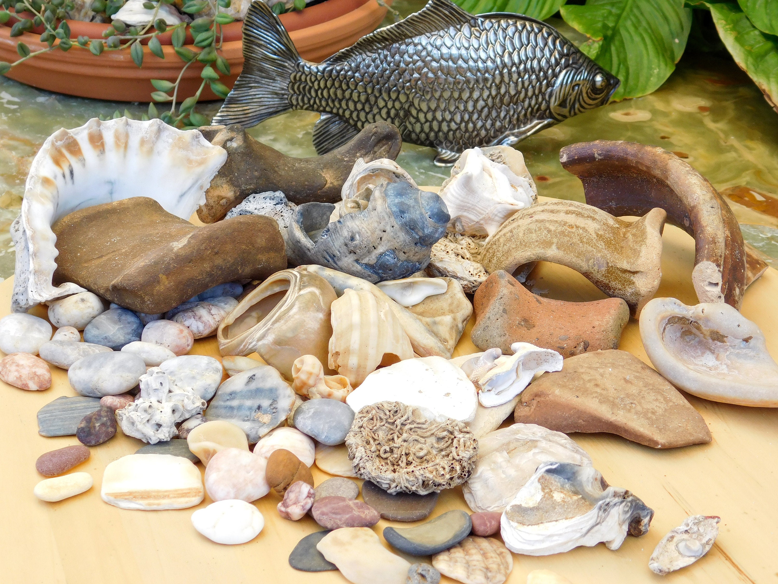 5-teiliges Deko-Set Aus Terracotta – Muscheln, Seepferd & Seestern Für Garten, Teich Oder Aquarium