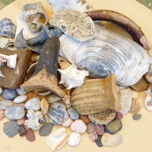 Może przedstawiać: Kolekcja różnych muszli, kamieni i wyrobów ceramicznych na drewnianej powierzchni. Kolekcja zawiera dużą białą muszlę, brązowy ceramiczny wazon i różnorodne gładkie, szare kamienie.