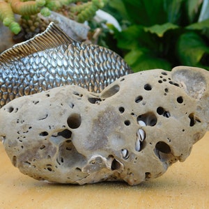 Aquarium rock. Natural holey rock fish tank terrarium decor. Sculpture stalagmite craft, art supplies.Sandstone enclosure  for spiders.