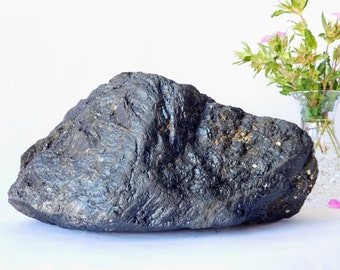 Large Black Volcanic Rock: Sea-Drifted Aquarium Terrarium Decor