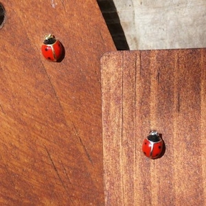 Könnte beinhalten: Zwei Holz-Ohrring-Präsentationsbretter, rotbraun gebeizt. Jedes Brett zeigt ein Paar Marienkäfer-Ohrringe mit roten und schwarzen Details. Ein Brett hat oben ein Loch. Auf einer strukturierten Holzoberfläche.