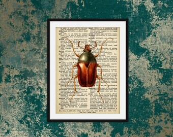 Beetle Print - Antique Book Page, Vintage Upcycled, Encyclopaedia Dictionary, A4, Insect Print, Beetle Gift, Beetle Poster, Beetle Gift