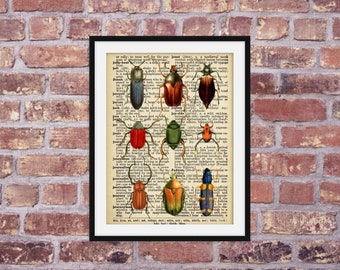 Beetle Print - Prints, Wall Art, Wall Decor, Beetle Poster, Beetle, Antique Book Page, Vintage Upcycled, A4, Insect Print, Beetle Gift, Gift