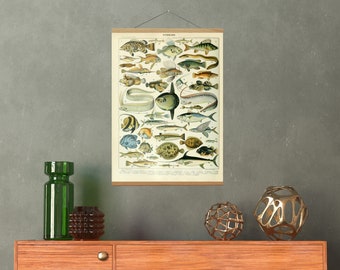 Poster A1 Poster Fish Print Posters And Prints Fish Art Poster Download Vintage Poster Art Large Poster Posters Vintage Framed Print A1 Art