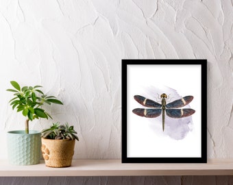 Dragonfly Print - dragonfly wall art, insect print, insect picture, dragonfly picture, insect gift, dragonfly gift, insects, dragonfly, bugs
