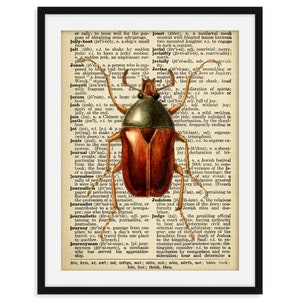 Beetle Print Antique Book Page Vintage Upcycled - Etsy