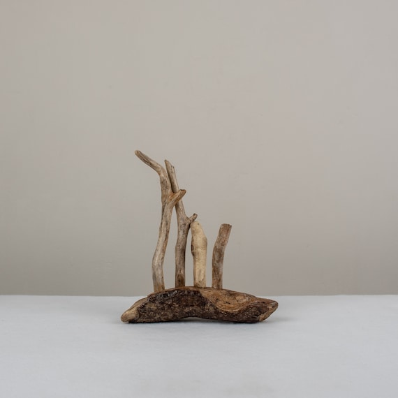 Defence Driftwood Sculpture Ornament Interior Design Unique