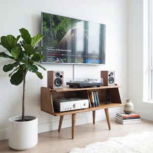 Peut inclure: Un meuble de divertissement en bois avec une platine vinyle, des enceintes et un amplificateur argent&eacute;. Un t&eacute;l&eacute;viseur affiche "The Ways of Nanturckminds". Une plante en pot et un tapis blanc compl&egrave;tent la pi&egrave;ce.