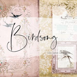 Bird themed Antique French Style Ephemera, Collaged, Antique Mural, Textured Parisian Florals