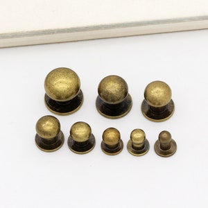 10set Screw rivets Bronze chicago screw rivet Purse rivet leather rivet Screw back studs