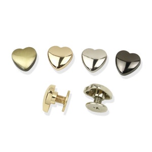 Può includere: Cinque borchie metalliche a forma di cuore in oro, argento e nero, con due borchie aggiuntive che mostrano i fissaggi a vite.