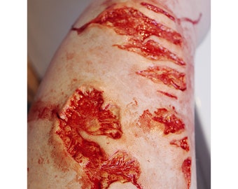 Zombie Wounds Prosthetic Set // Encapsulated Silicone // Gore Horror Halloween // Walking Dead // SFX Makeup // Cosplay // Wound Injury