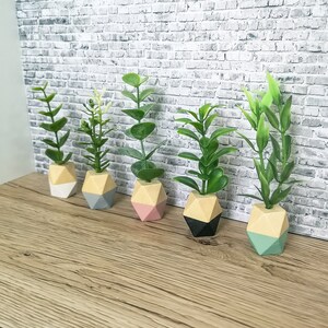 May include: Five small potted plants with geometric wooden planters in various colours. The planters are painted in shades of white, grey, pink, black, and blue. The plants are all green and leafy.