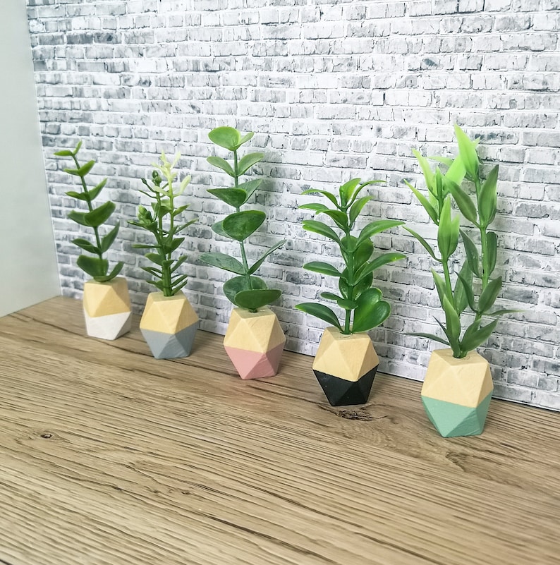 May include: Five small potted plants with geometric wooden planters in various colours. The planters are painted in shades of white, grey, pink, black, and blue. The plants are all green and leafy.