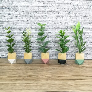 May include: Five small potted plants in geometric planters. The planters are made of wood and painted in different colours: white, grey, pink, black, and green.