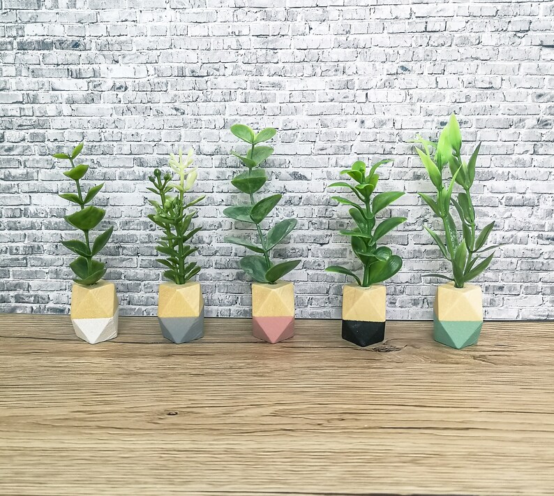 May include: Five small potted plants in geometric planters. The planters are made of wood and painted in different colours: white, grey, pink, black, and green.
