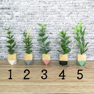 May include: Five small potted plants with different coloured geometric planters. The plants are arranged in a row on a wooden surface. The planters are in the colours grey, pink, black, and green.