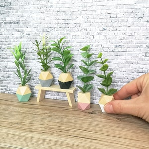 May include: Five miniature potted plants with geometric planters in various colours, including grey, black, pink, and white. The plants are arranged on a small wooden shelf against a white brick wall background.