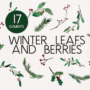 Winter Leafs and Berries clipart set, watercolor christmas clipart, tree branches clipart, pine tree, png elements, botanical transparant