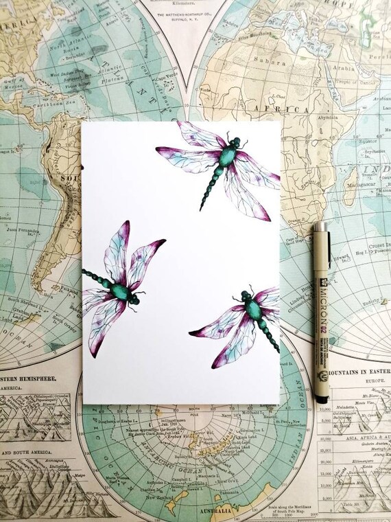 arte, foto acquerello carta Dragonfly animali Stampa Fauna Selvatica regalo