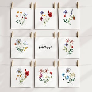 Set of 8 watercolor wildflower floral postcards, printed on sustainable paper. eco-friendly packaging, handmade postcard, moodboard