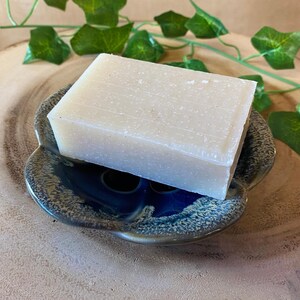 May include: A rectangular bar of off-white soap rests on a blue and brown ceramic soap dish. The soap dish has a unique, organic shape with a glossy finish. Green leaves are visible in the background, adding a natural touch.