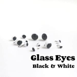 Può includere: Assortimento di occhi di vetro neri e bianchi di varie dimensioni. Gli occhi sono sparsi su una superficie bianca. Il testo "Glass Eyes Black & White" è stampato sotto gli occhi.