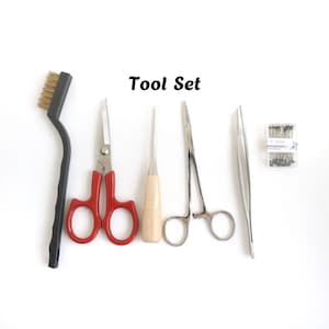 May include: A tool set featuring a black wire brush, red-handled scissors, a wooden-handled awl, silver metal hemostats, silver tweezers, and a small clear plastic container filled with metal pins. The text Tool Set is centered above the items.