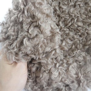 May include: A swatch of curly, textured fabric in a light taupe or beige color. The material features dense, spiraled loops that create a voluminous, shaggy appearance with a soft, multi-tonal look across the entire surface of the textile.