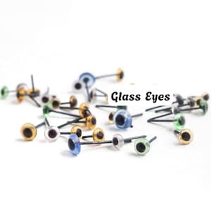 Op de afbeelding: Een verzameling kleine glazen ogen met zwarte pupillen en irissen in verschillende kleuren, waaronder blauw, groen en amber, elk bevestigd aan een dunne zwarte metalen pin. De tekst "Glass Eyes" is in het zwart op een witte achtergrond.