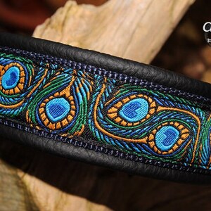 May include: A black leather dog collar with a blue, green, and gold peacock feather pattern.