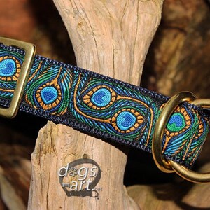 May include: A blue and gold dog collar with a peacock feather pattern. The collar has a brass buckle and a D-ring.