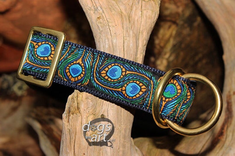 May include: A blue and gold dog collar with a peacock feather pattern. The collar has a brass buckle and a D-ring.