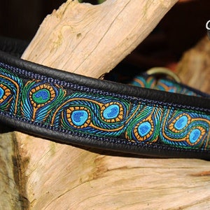 May include: A black leather dog collar with a blue, green, and gold peacock feather pattern. The collar has a brass buckle and is decorated with a decorative stitch.
