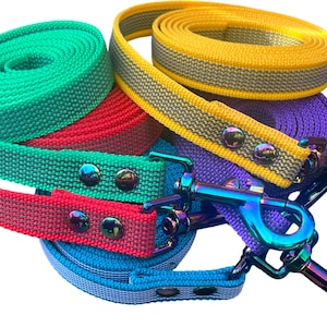 Op de afbeelding: Vijf kleurrijke hondenriemen met regenboogkleurige metalen gespen. De riemen zijn groen, rood, blauw, paars en geel.