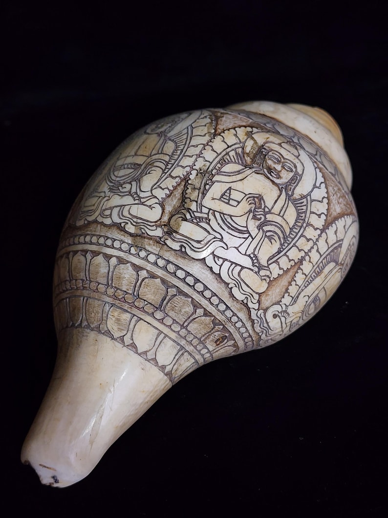 Religious Conch Shell Antique Conch Shell | Conch With Pancha Buddha | - Etsy