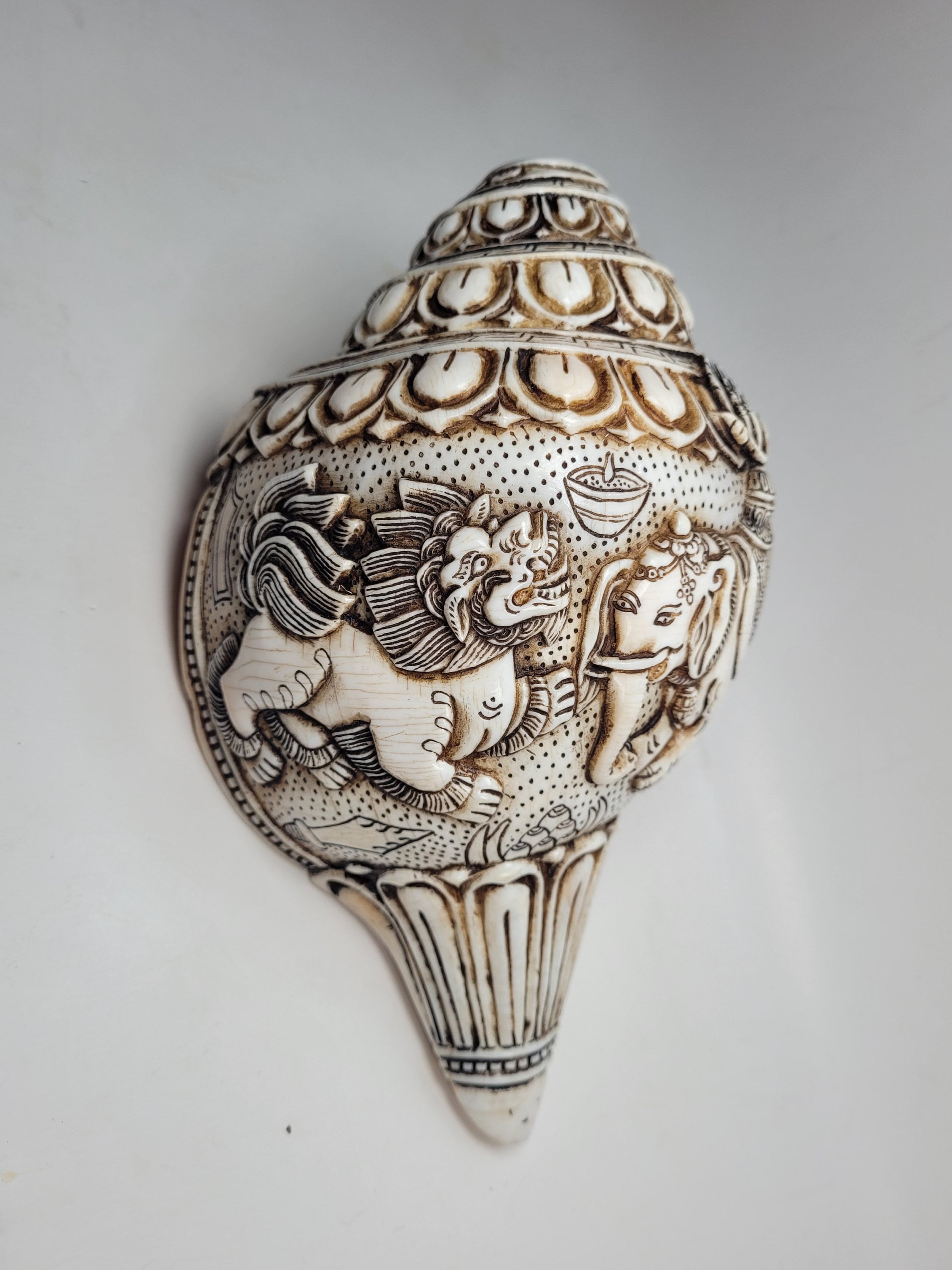 Vintage Conch Shell | Elephant Design Conch Shell | Antique Style Conch ...