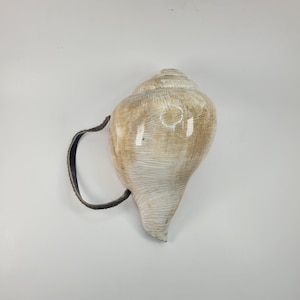 Vintage conch shell | Buddhist Ritual Musical Instrument |