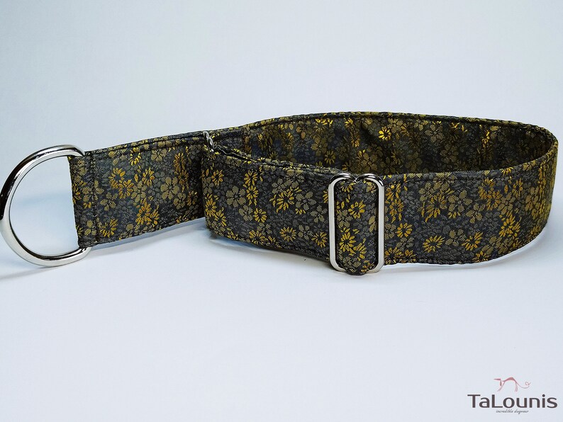 Martingale collar