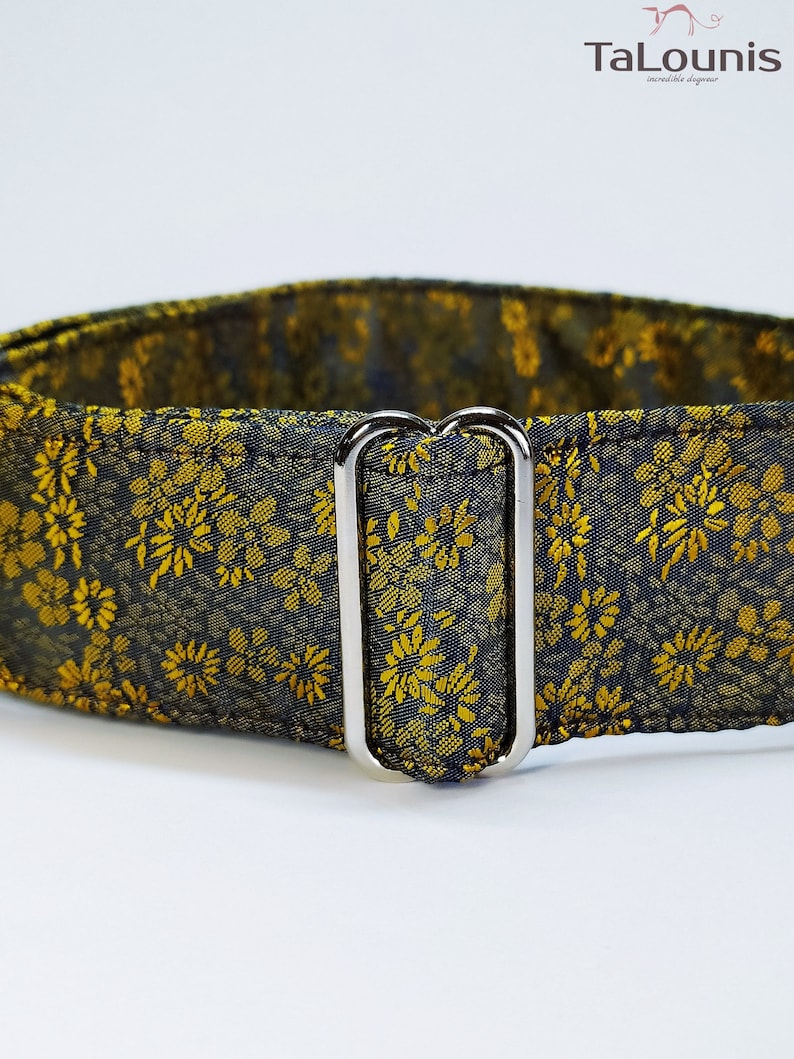 Martingale collar