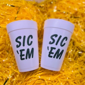 Baylor Bears SIC ‘EM // 10 16oz foam