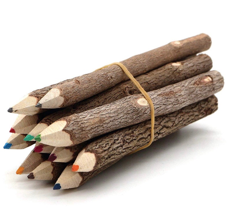 Wooden Tree Rustic Twig colored Pencils Unique Birch of 12 Etsy