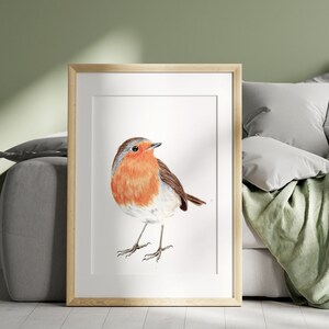 Pintura em aquarela de Robin | Arte em aquarela de Robin | Natal Robin | Presente de Natal | Decoração de Natal | Pintura de pássaros | Ilustração de pássaro