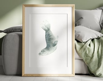 Seal Watercolour Painting | Hand Painted Seal Illustration | Nursery Art Prints | Watercolour Seal Illustration | Sea Lion Nursery Decor