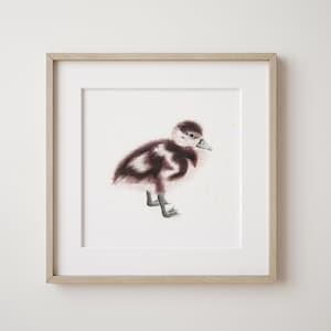 Baby Duckling Watercolor Print | Duckling Art Print | Duck Watercolor | Irish Artist | British Wildlife Art | Animal Lover | Farmhouse Art