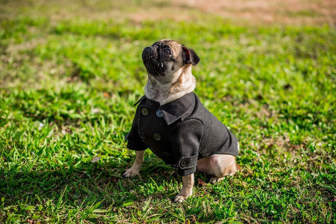 Dog Peacoat With Reflectors / Reversible Dog Jacket for All Breeds / Outerwear for Dogs / XS XL