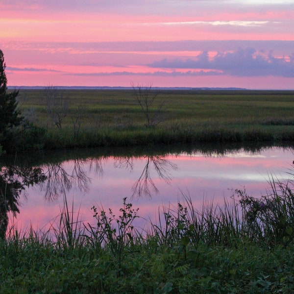 St Simons Island Art Etsy